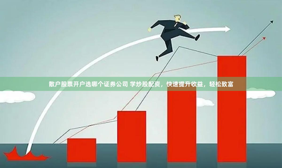 散户股票开户选哪个证券公司 学炒股配资，快速提升收益，轻松致富